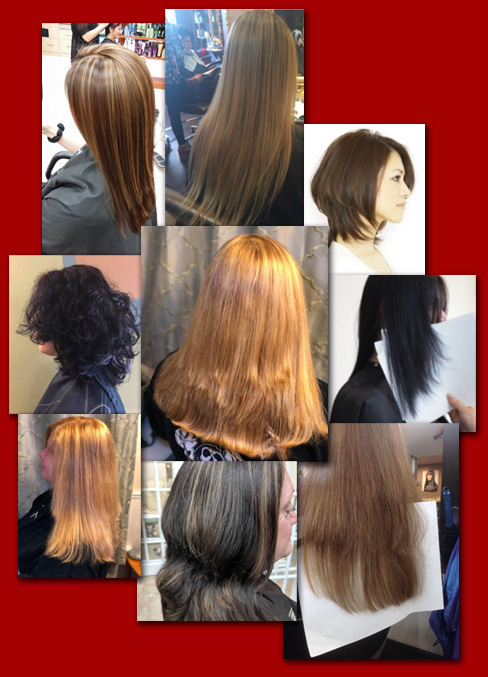 HSM haircutting class. One day classes! Patented cutting method.