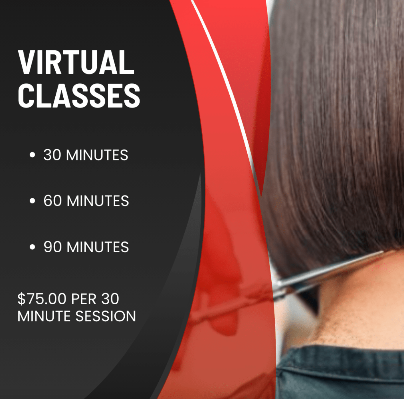 VIRTUAL.CLASSES